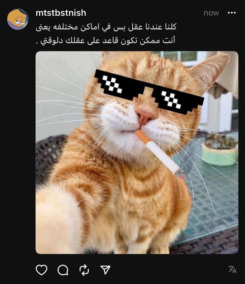 Jxtgeee.md.jpg