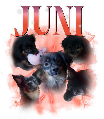 juni.png