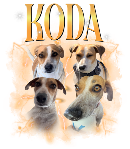 koda.png