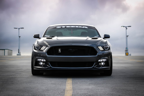 photo car.jpg