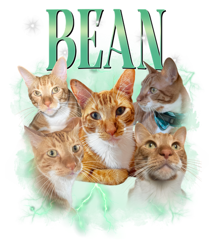 bean.png