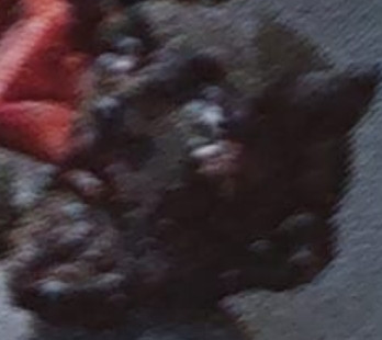 2023 12 02 001236.jpg