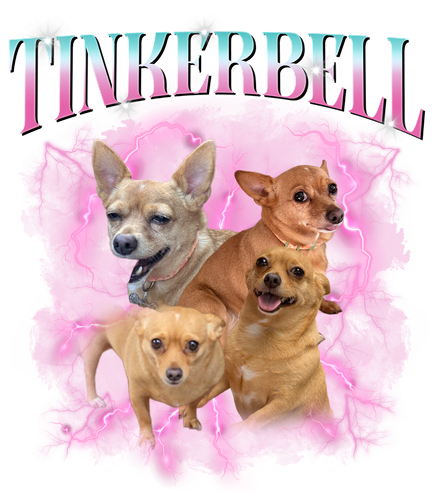 Tinkerbell 10 + 1.png