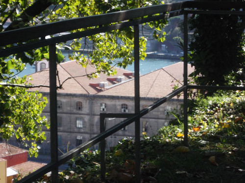 DSCF1956.jpg