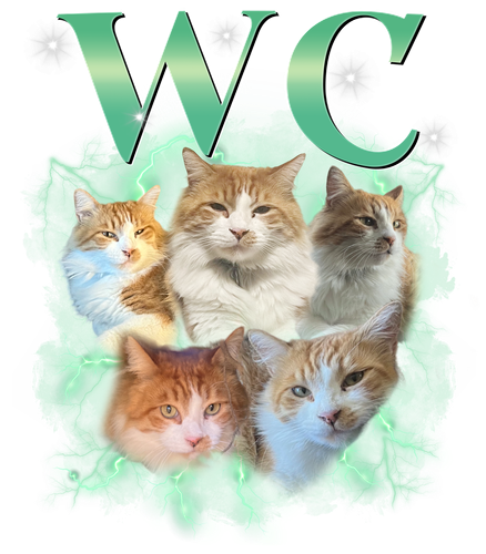3105895153.png
