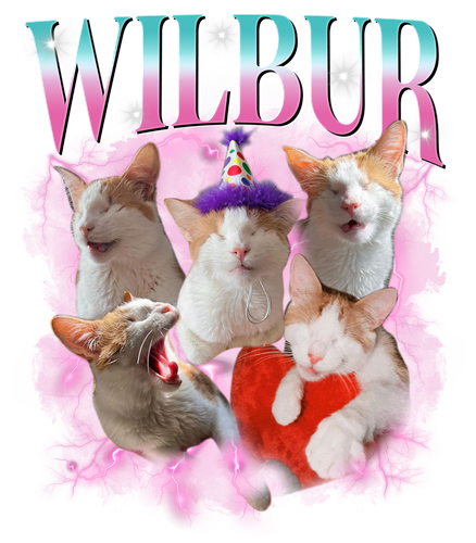 3094392417 BLue Pink.png