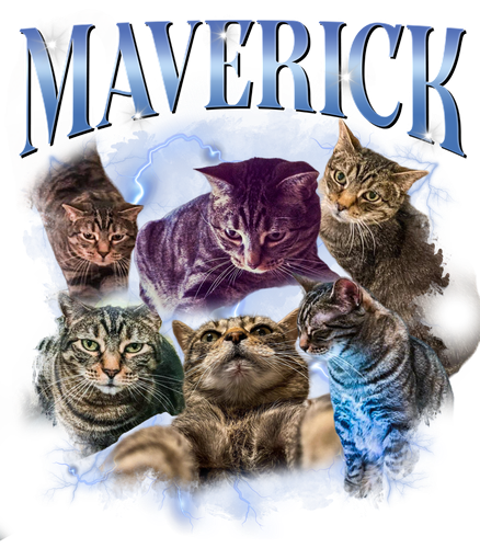 MAVERICK 9 + 1.png