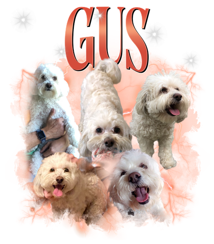 Gus + 5 + 1.png
