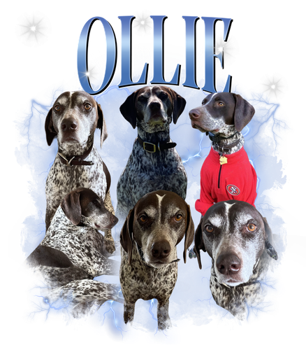 Ollie 9 + 1.png