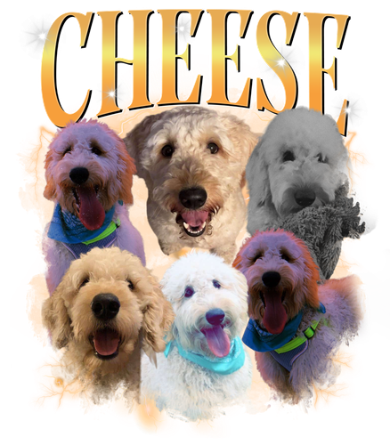 cheese + yellow + 1.png