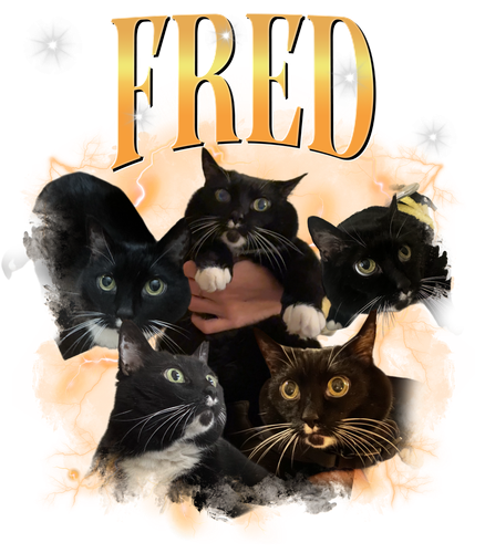 FRED + 3 + 1.png