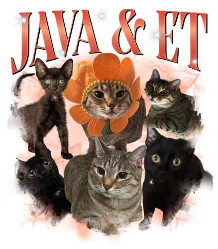 JAVA & ET 5 + 1.png