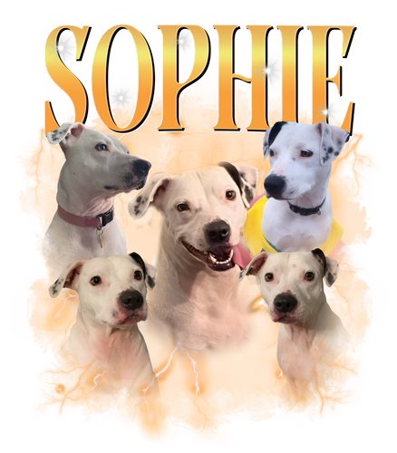 sophie.png