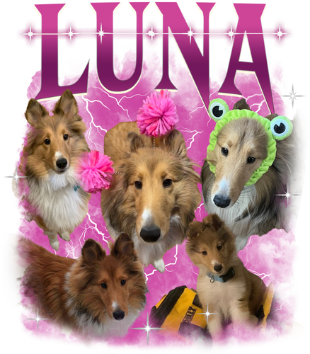 LUNA.png