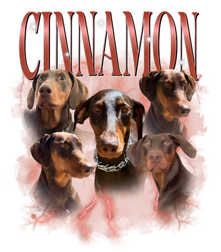 cinanmon.png