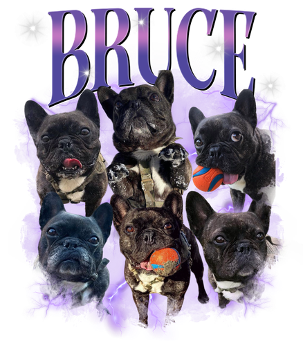 Bruce + purple + 1.png