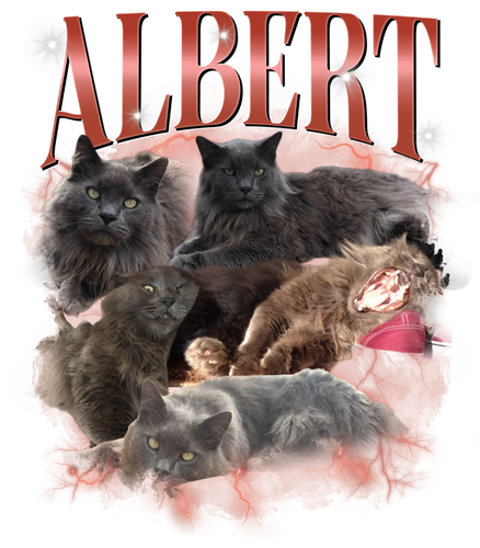 Albert 2 + 1.png