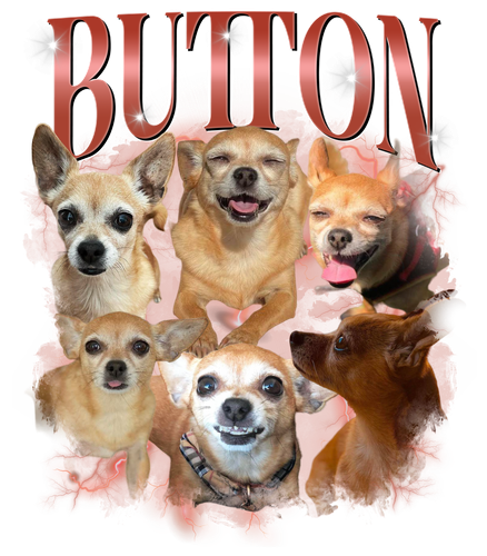 BUTTON + 2 + 1.png