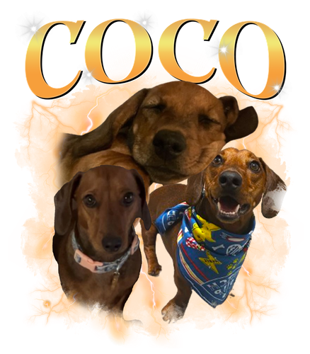 Coco.png