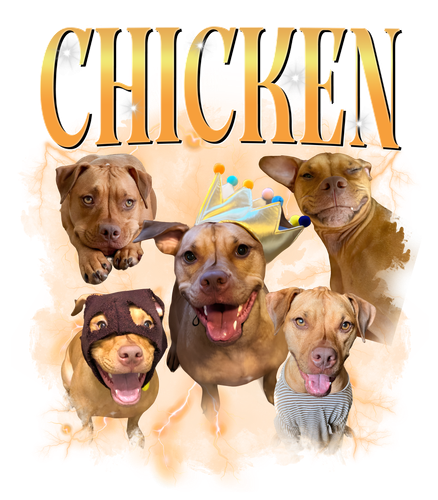 chicken.png