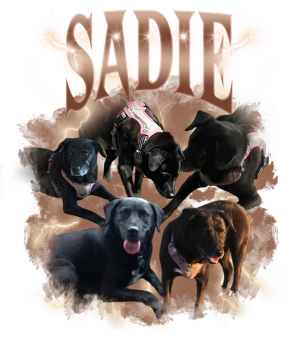 SADIE + 2 + 2.png