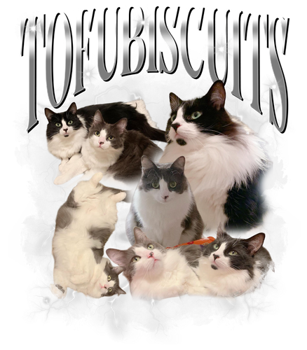 3103127543.png