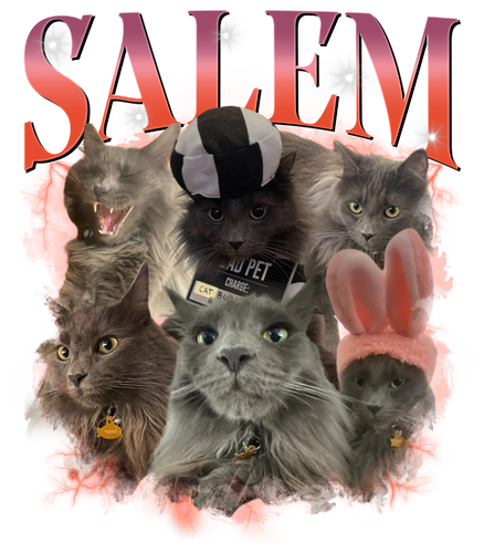 SALEM.png