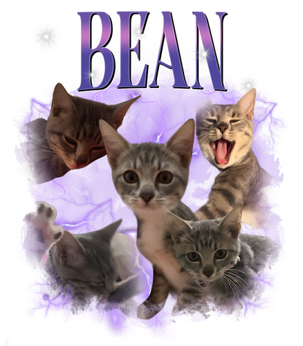 bean.png