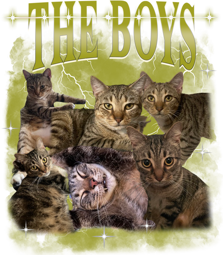 The Boys.png