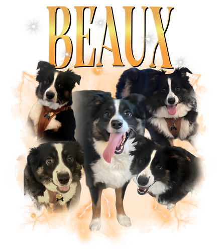 beaux.png