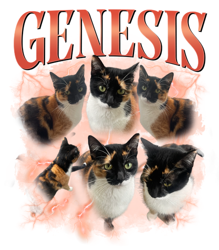 3118449250.png