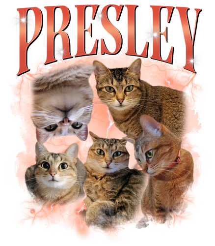 104103445 1) Presley 2) Light Pink Custom 10.png