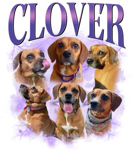 3119548114 Clover 6.png