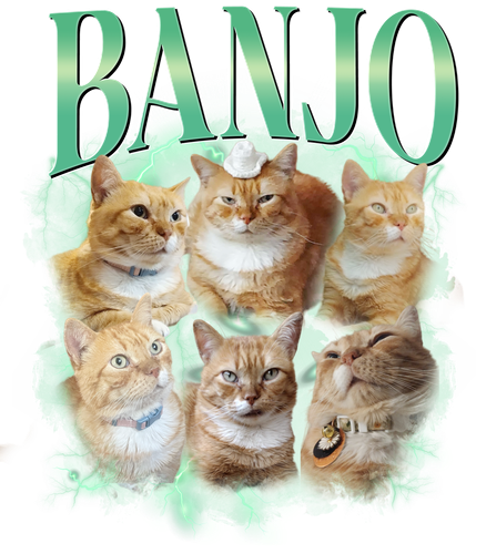 3109696833 Banjo 8.png