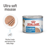 Starter Mousse (WET FOOD Cans)