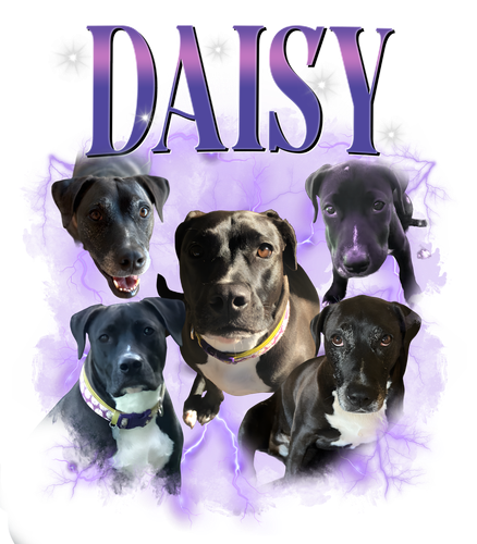 dáiy.png