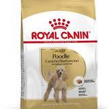 Poodle Adult 1.5 KG