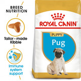 Pug Puppy 1.5 KG