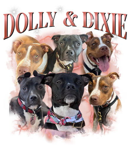 Dolly & Dixie #2 red + 1.png