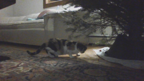 IMG 20231202 175725.jpg