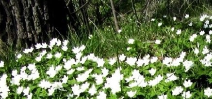 d83ddd2791355e4e24e6e133fb638fdc (1).jpg