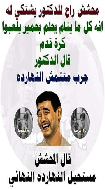 img 3 1696281254239.jpg