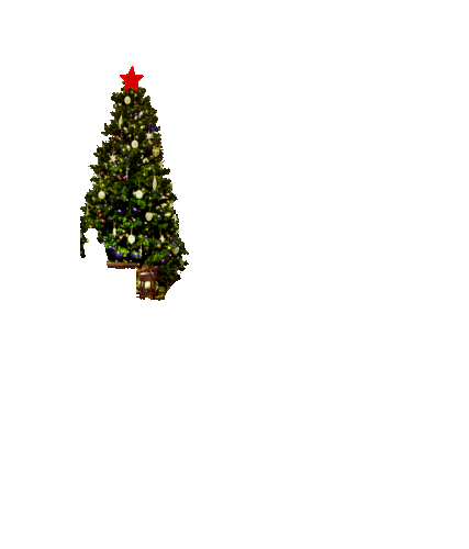 image.gif