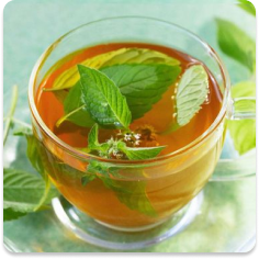 Peppermint Tea.png