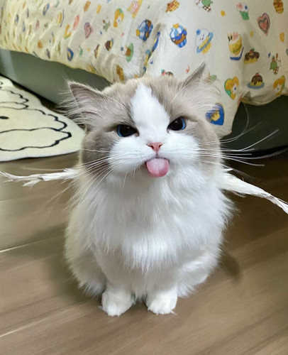 image.jpg