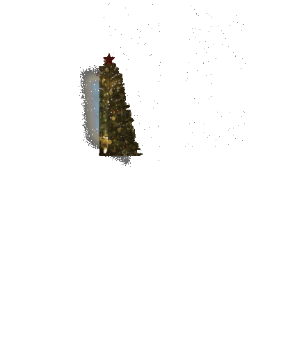 2.gif