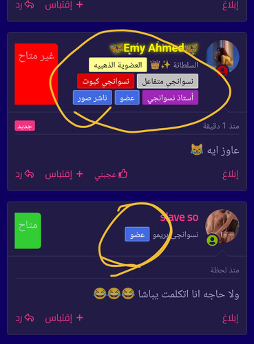 Screenshot ٢٠٢٣ ١٢ ٠٣ ١٥ ٥٦ ٣٨ ٣٠ 40deb401b9ffe8e1df2f1cc5ba480b12.jpg