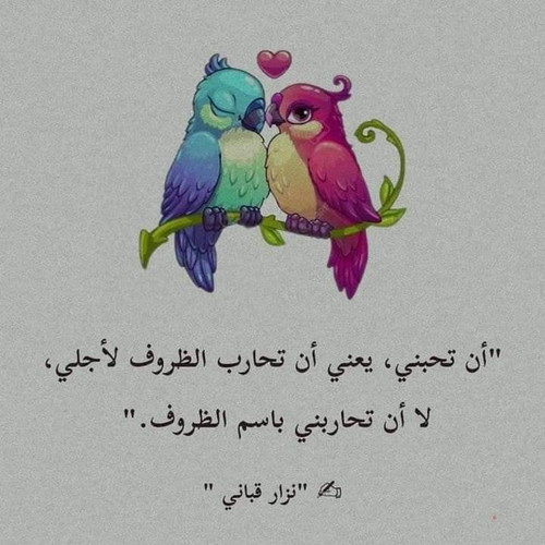 FB IMG 1701617114579.jpg