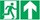 Panneau Evacuation Picto Fleche haut PVC Recto Verso 500 x 250 mm 000006C800000000.jpg