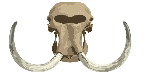 jerald pinson mammoth skull 3000.png
